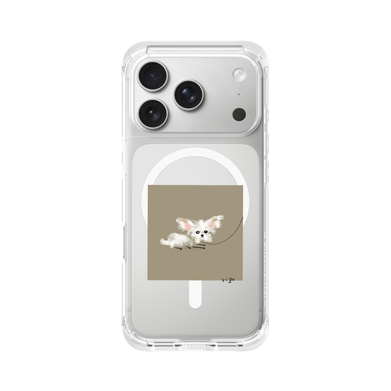small white dog