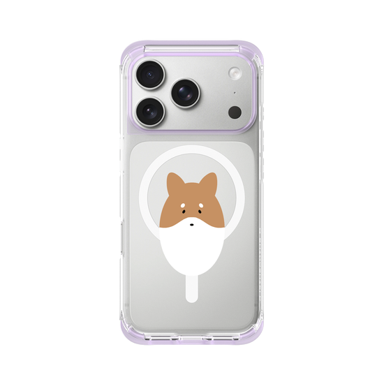 Animals - Shiba Inu Dog