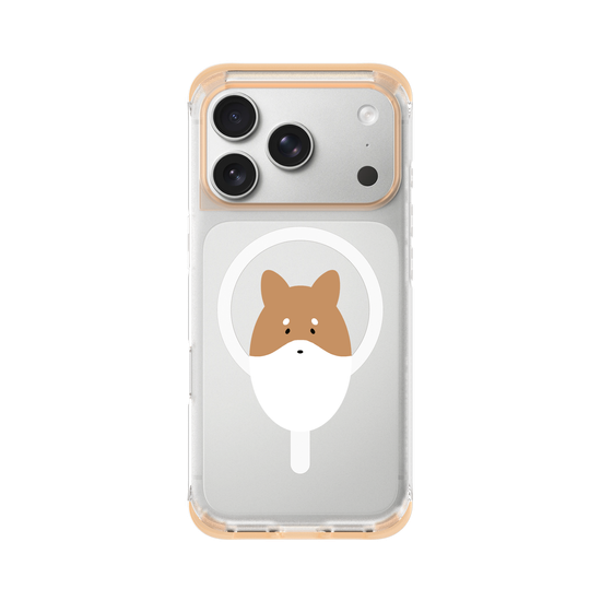 Animals - Shiba Inu Dog