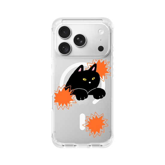 black cat