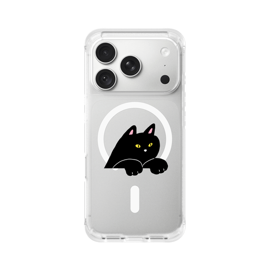black cat