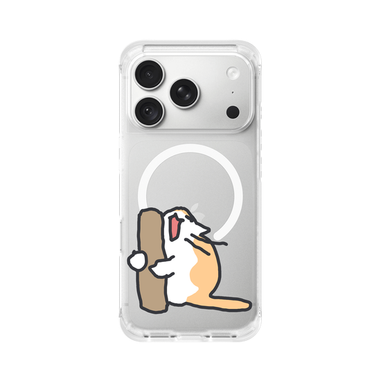 What is the cat doing?