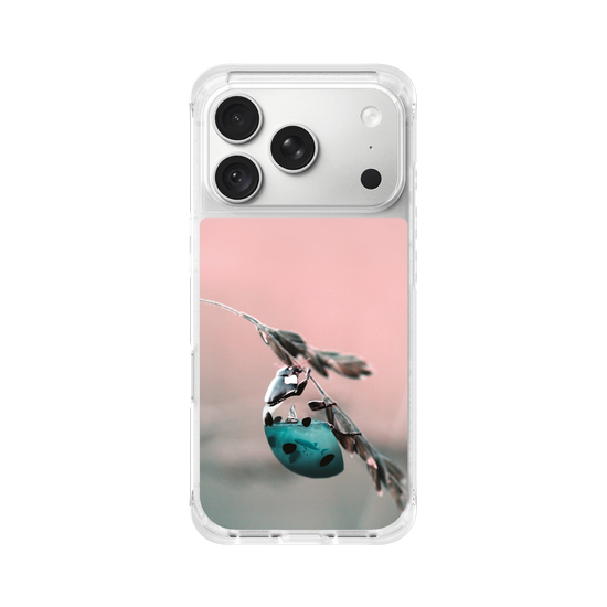 Aquanimal Ladybug