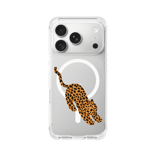 A Stretching Leopard