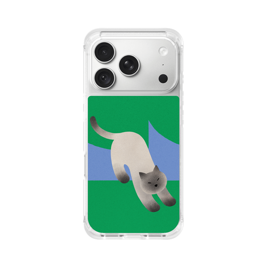 A Stretching cat