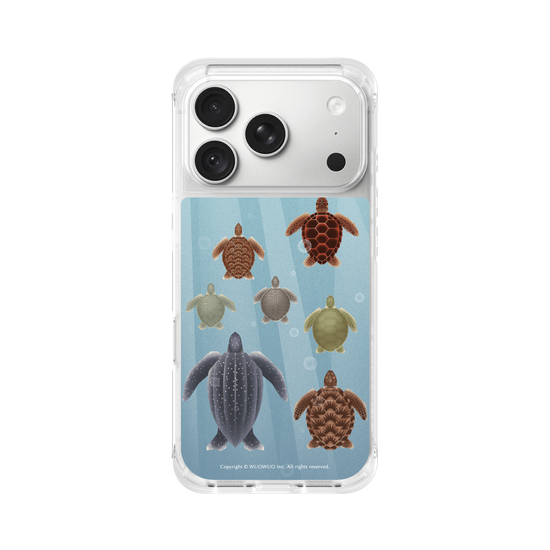 Miniature Field Guide-Sea ​​Turtle(Color)