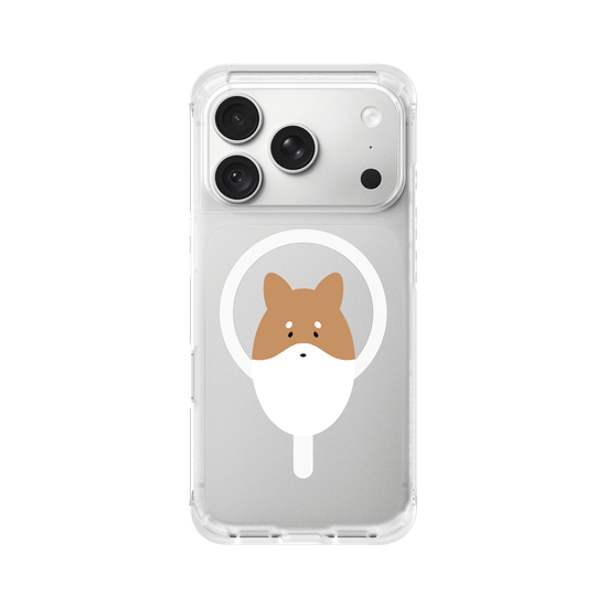 Animals - Shiba Inu Dog