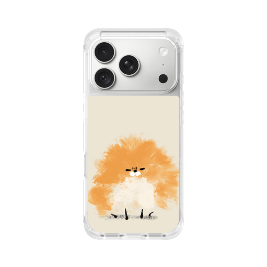 Grumpy Pomeranian