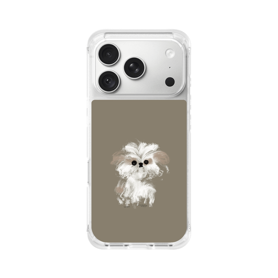 A little Shih Tzu
