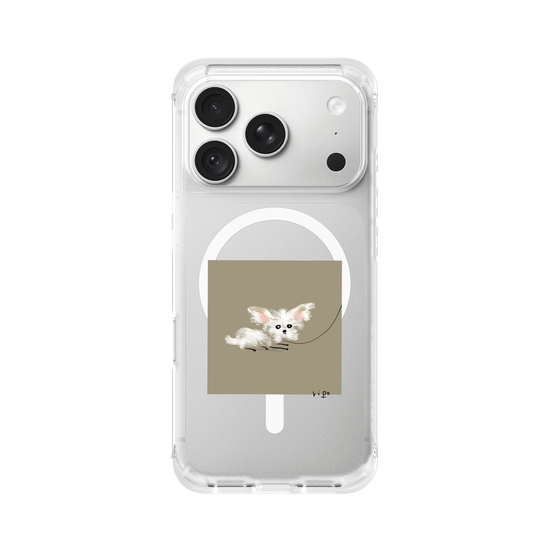 small white dog