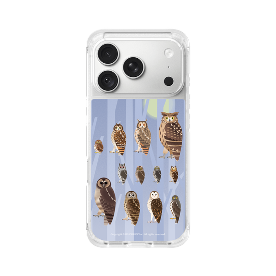 Miniature Field Guide-Owls(Color)