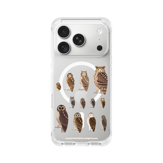 Miniature Field Guide-Owls(Clear)