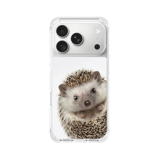 Hedgehog