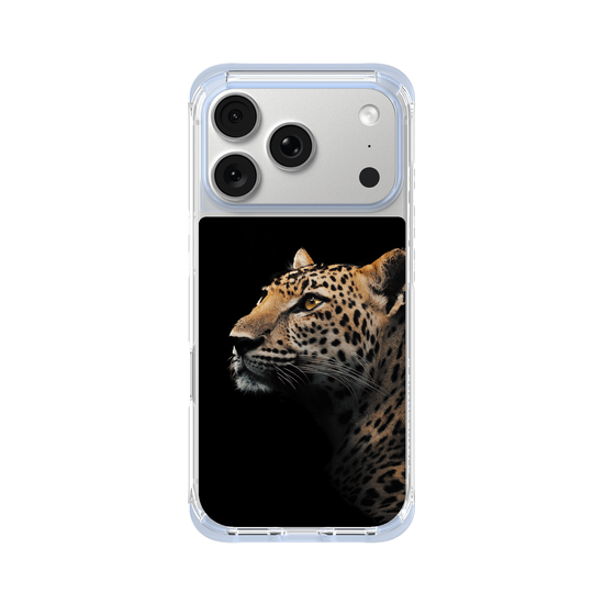 Indochinesischer leopard