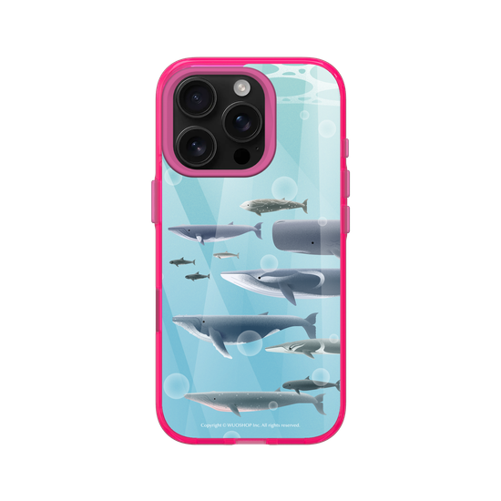 Miniature Field Guide-Whale(Color)