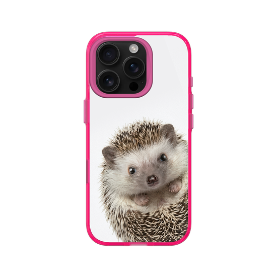Hedgehog
