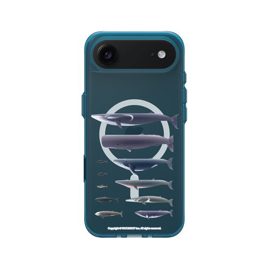 Miniature Field Guide-Whale(Clear)
