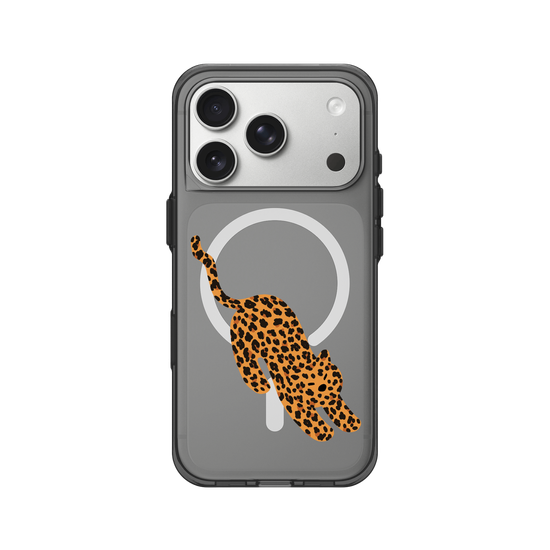 A Stretching Leopard