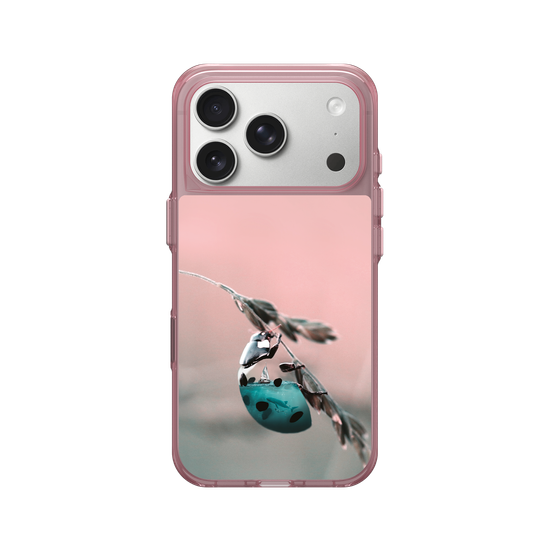Aquanimal Ladybug