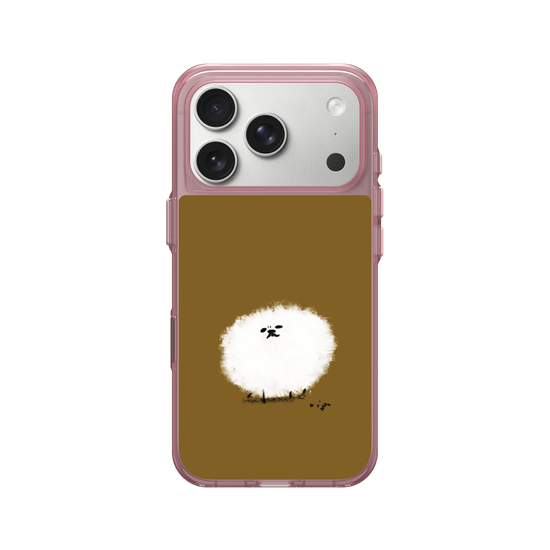 A spherical Pomeranian
