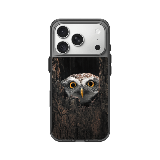 Owl in Tree
