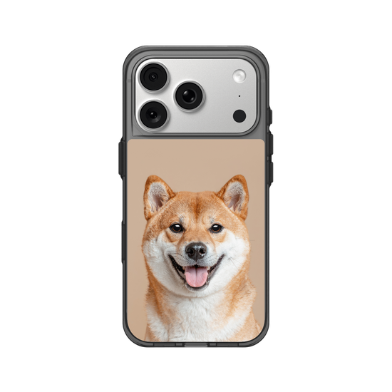 柴犬