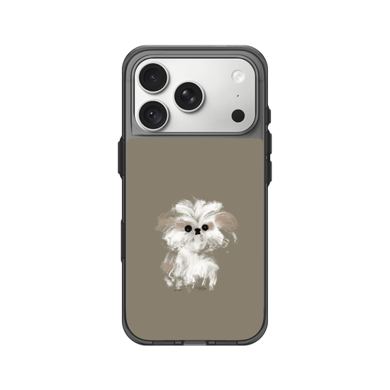 A little Shih Tzu