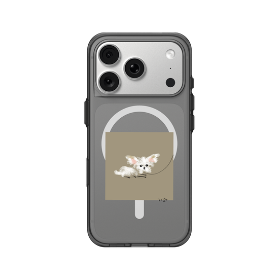 small white dog
