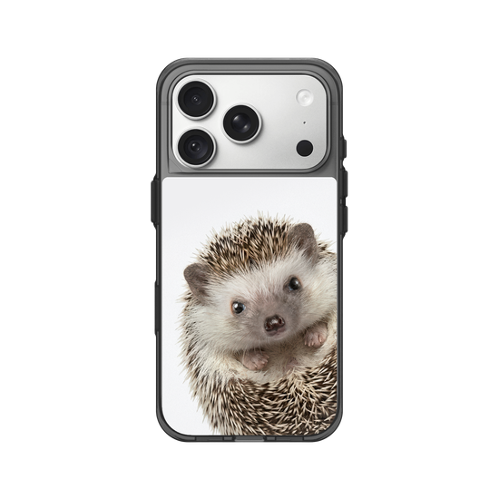 Hedgehog