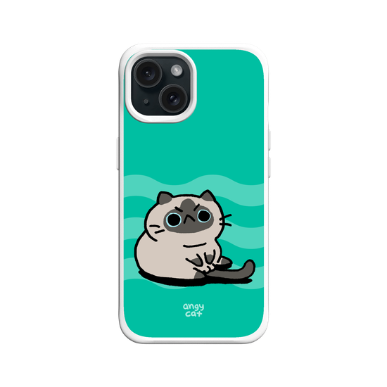 sitting cat