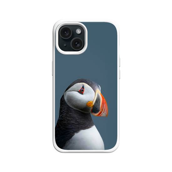 Puffin