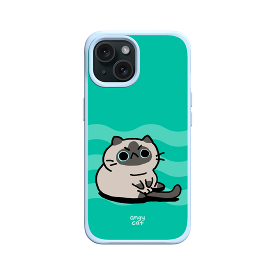 sitting cat
