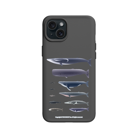 Miniature Field Guide-Whale(Clear)