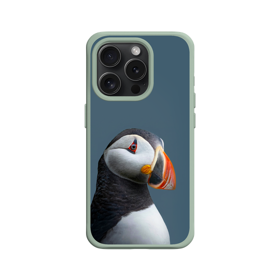 Puffin