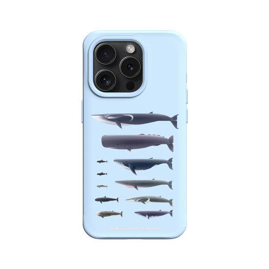 Miniature Field Guide-Whale(Clear)
