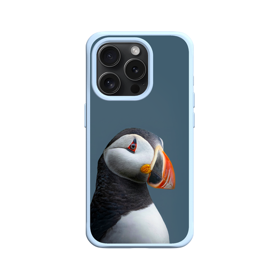 Puffin