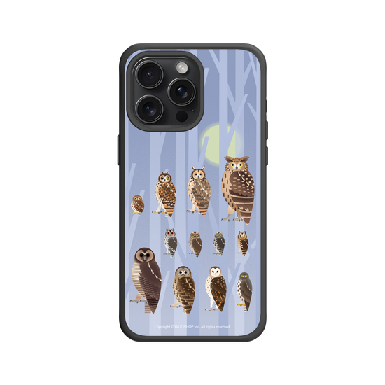Miniature Field Guide-Owls(Color)