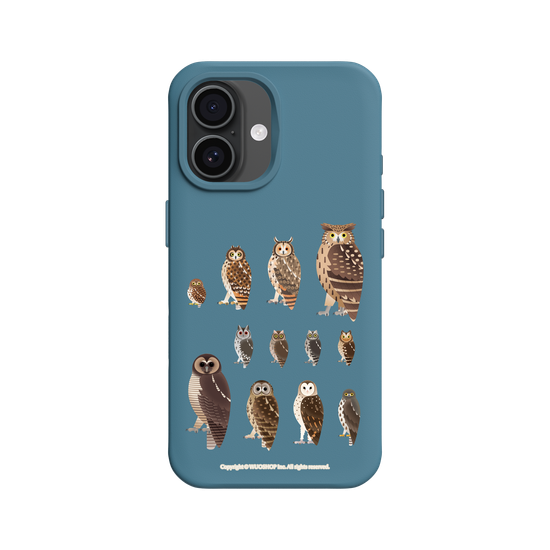 Miniature Field Guide-Owls(Clear)