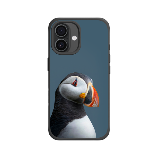 Puffin