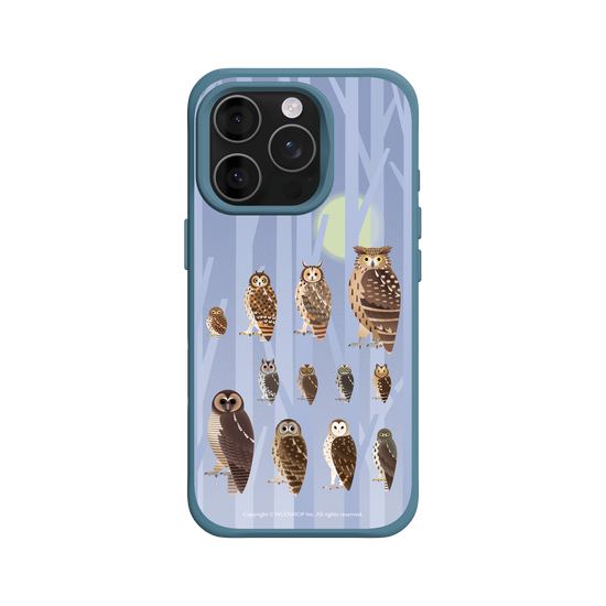 Miniature Field Guide-Owls(Color)