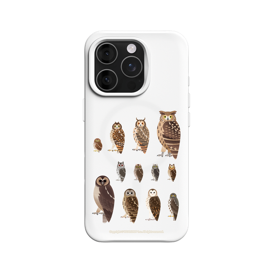 Miniature Field Guide-Owls(Clear)