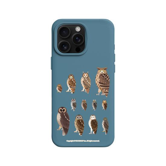 Miniature Field Guide-Owls(Clear)