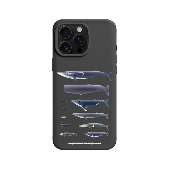 Miniature Field Guide-Whale(Clear)