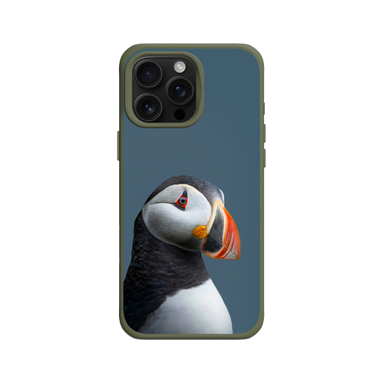 Puffin
