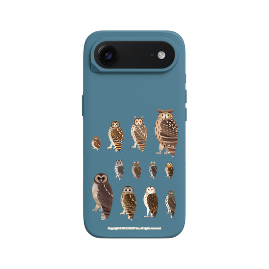 Miniature Field Guide-Owls(Clear)