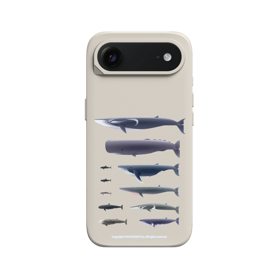 Miniature Field Guide-Whale(Clear)