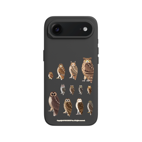 Miniature Field Guide-Owls(Clear)