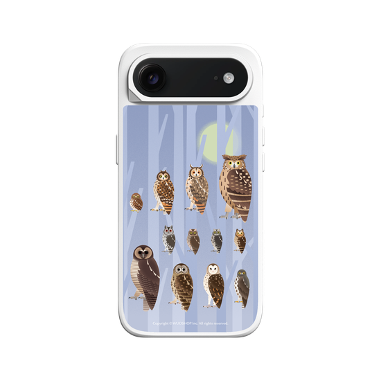 Miniature Field Guide-Owls(Color)