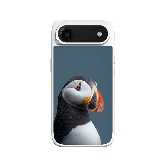 Puffin