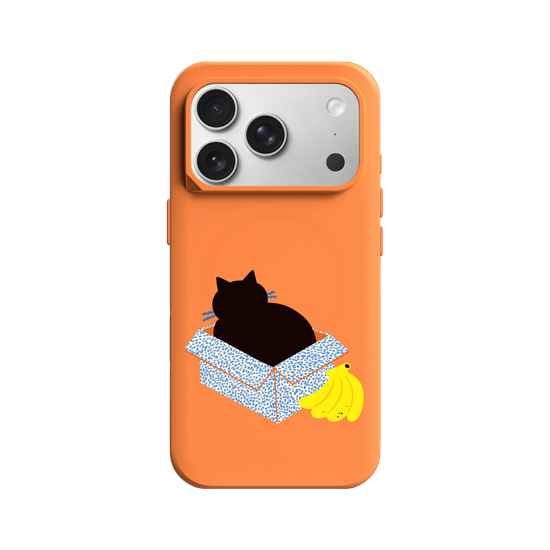 Box Lover